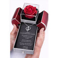 Forever Love Necklace & Eternal Rose Heart Box Gift Set