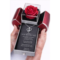Forever Love Necklace & Eternal Rose Heart Box Gift Set
